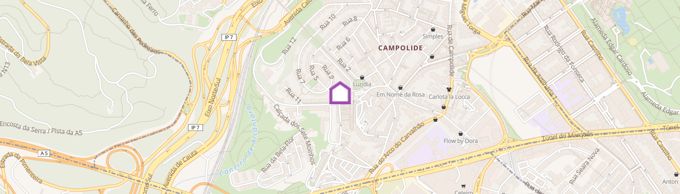 listing-map-picture