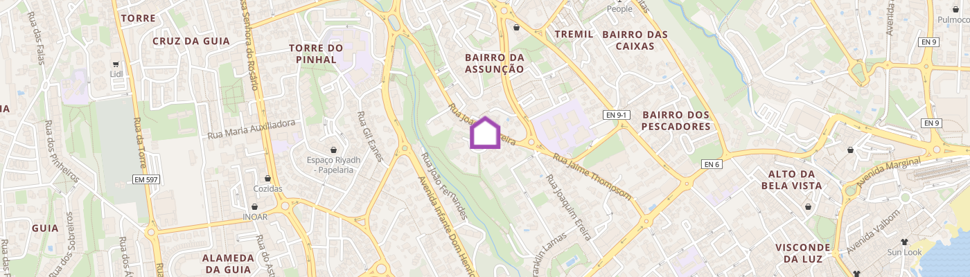 listing-map-picture