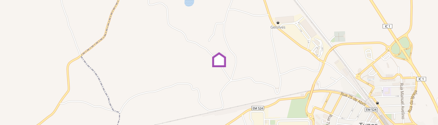 listing-map-picture