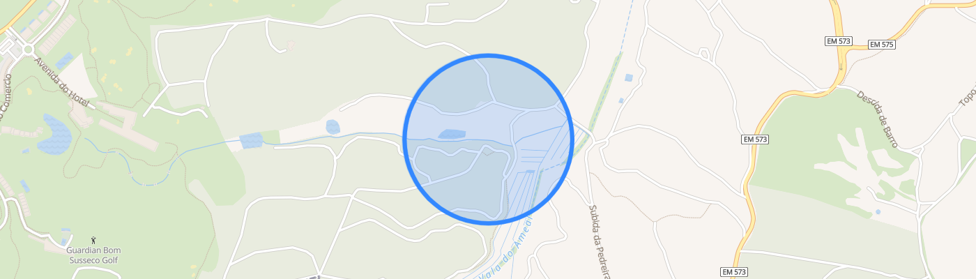 listing-map-picture