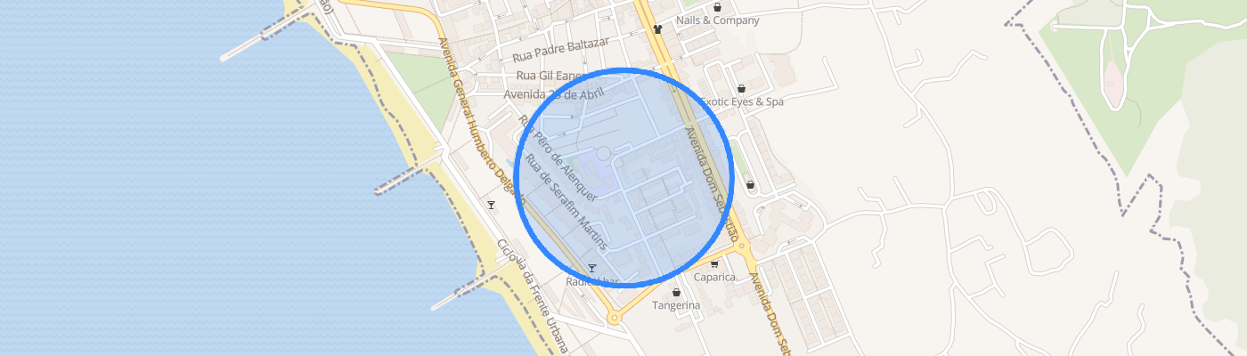 listing-map-picture