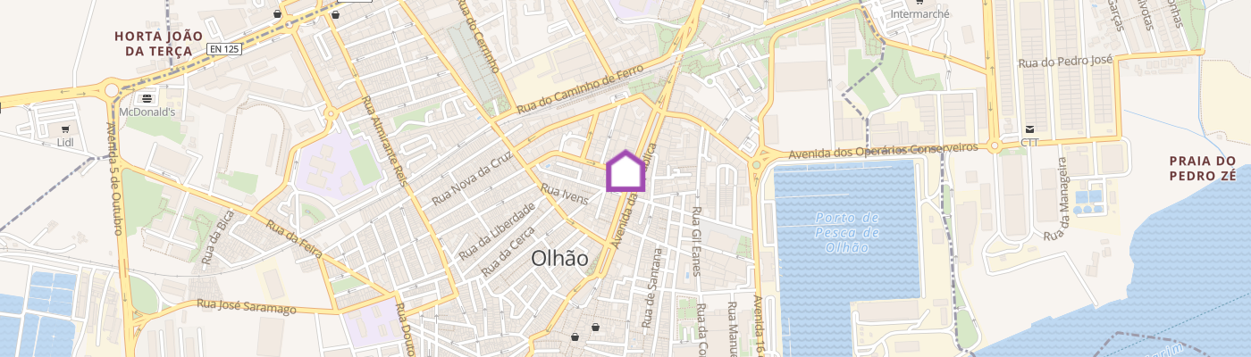 listing-map-picture