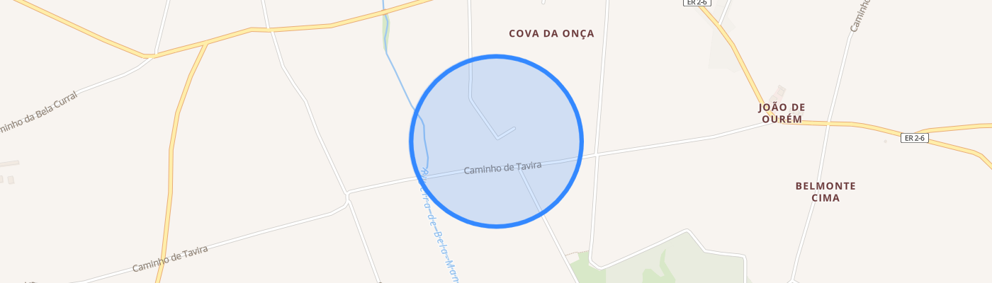 listing-map-picture