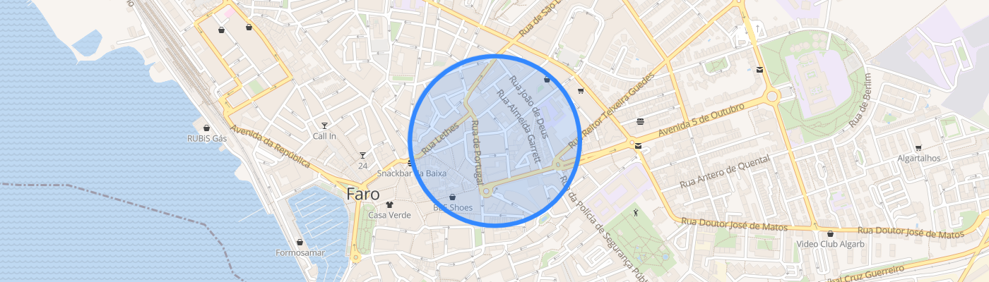 listing-map-picture