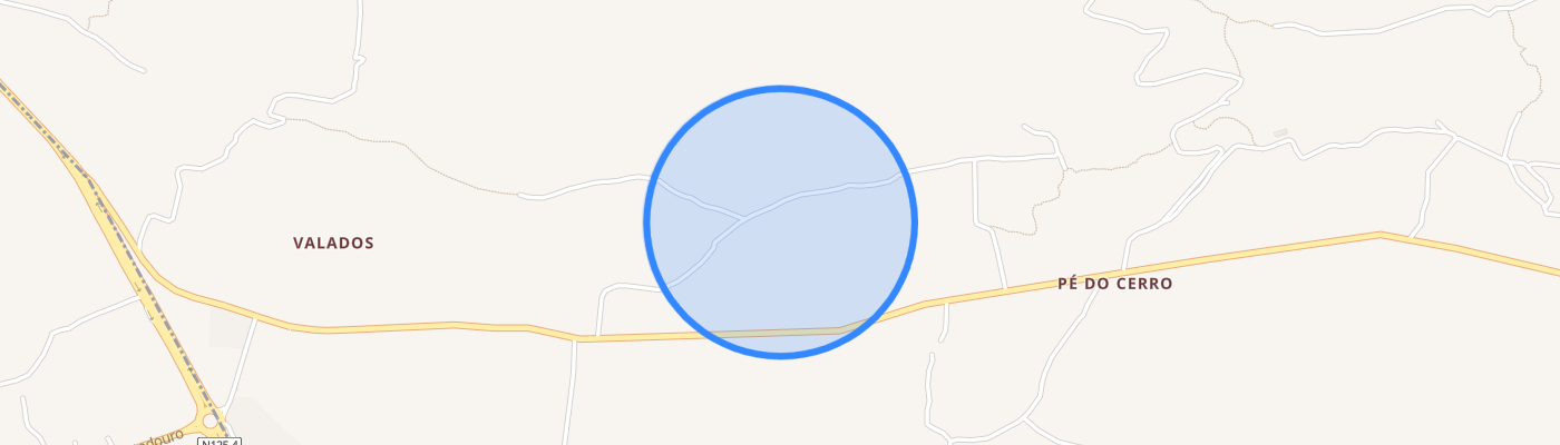 listing-map-picture