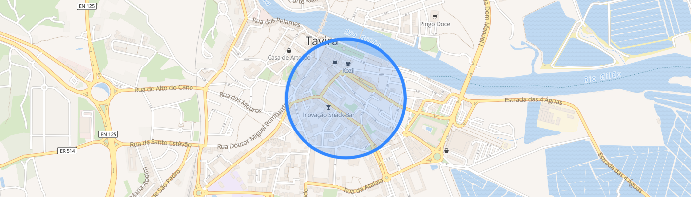 listing-map-picture