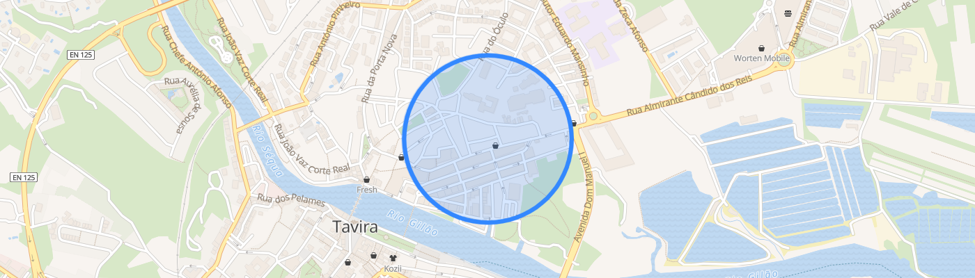 listing-map-picture