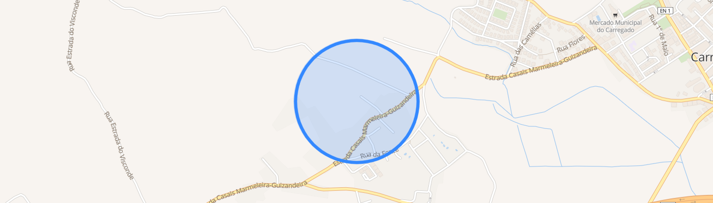 listing-map-picture