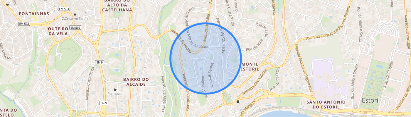listing-map-picture