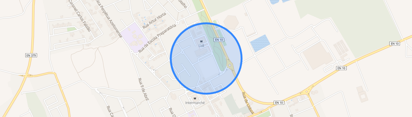 listing-map-picture