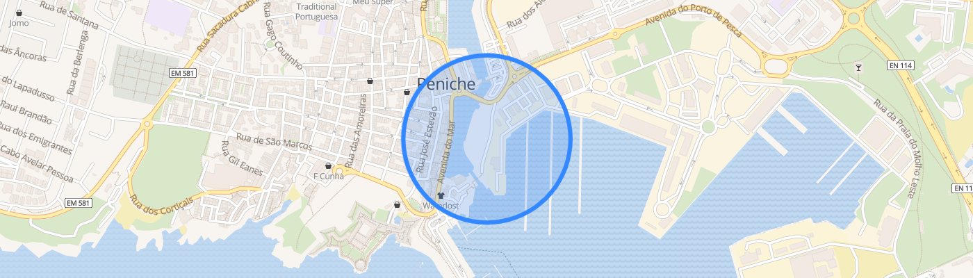 listing-map-picture