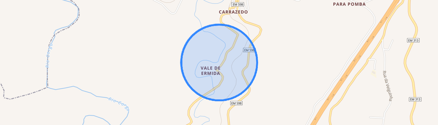 listing-map-picture