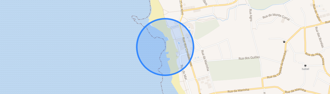 listing-map-picture