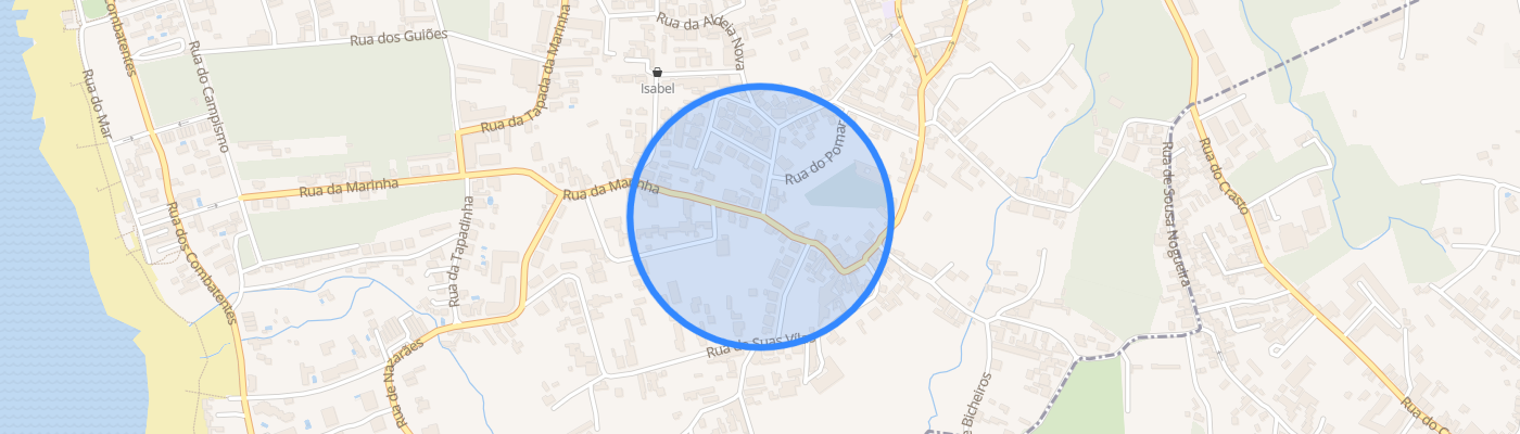 listing-map-picture