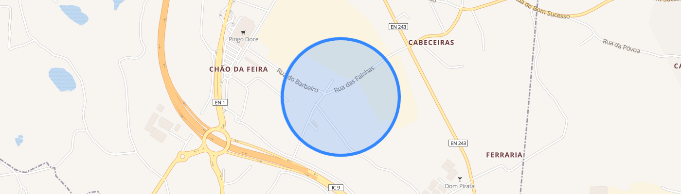 listing-map-picture
