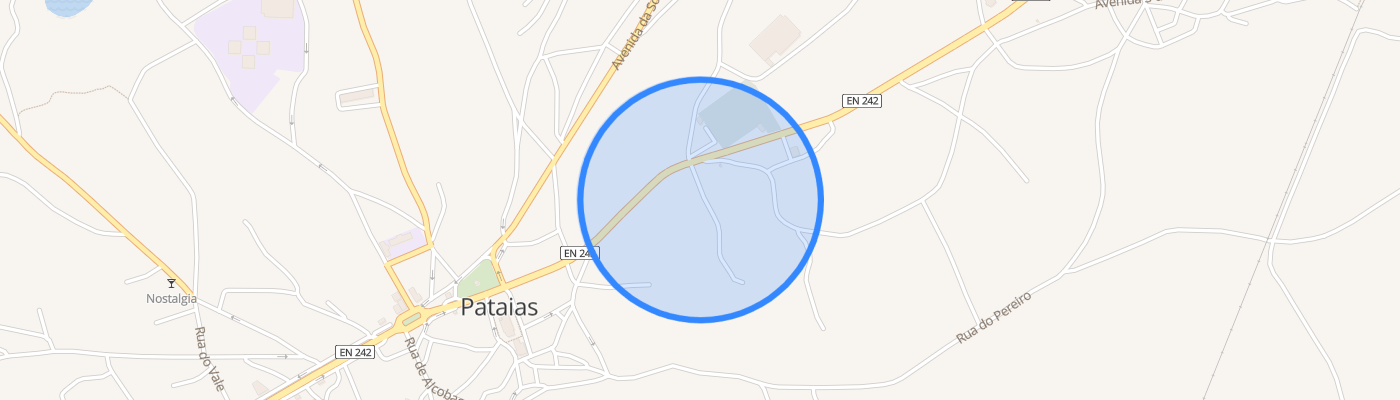 listing-map-picture