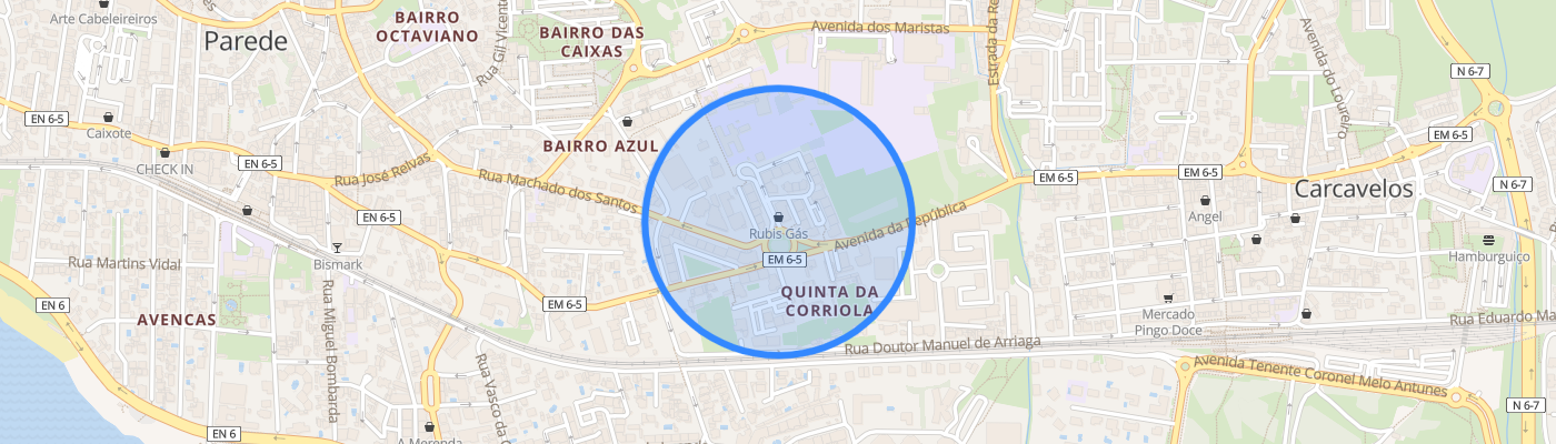 listing-map-picture