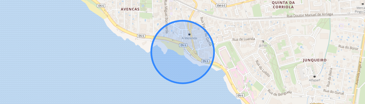 listing-map-picture