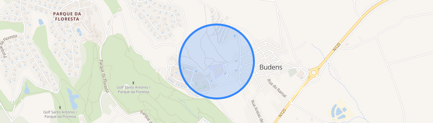 listing-map-picture