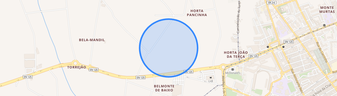 listing-map-picture
