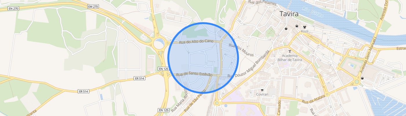 listing-map-picture
