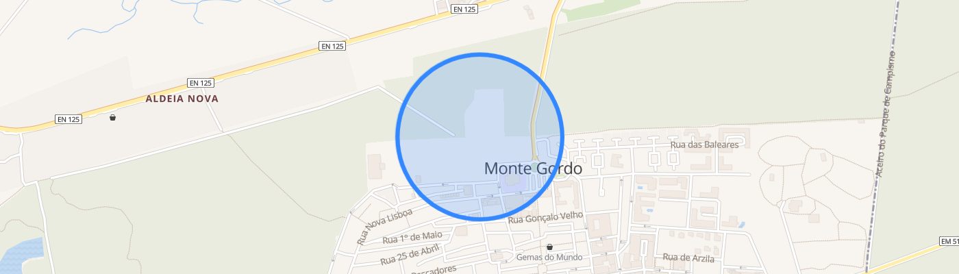 listing-map-picture