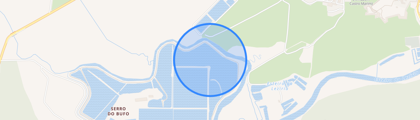listing-map-picture