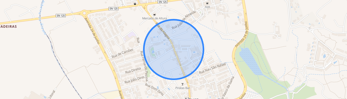 listing-map-picture