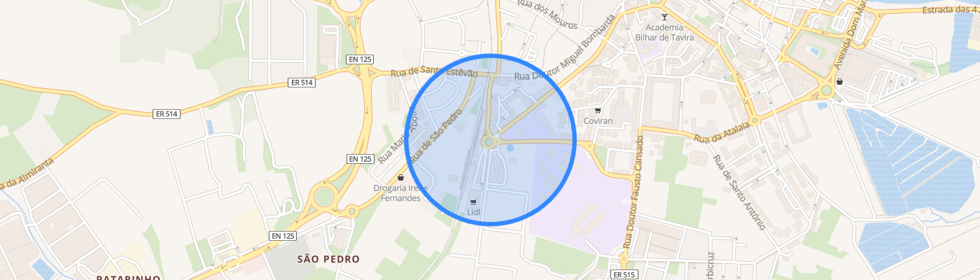listing-map-picture