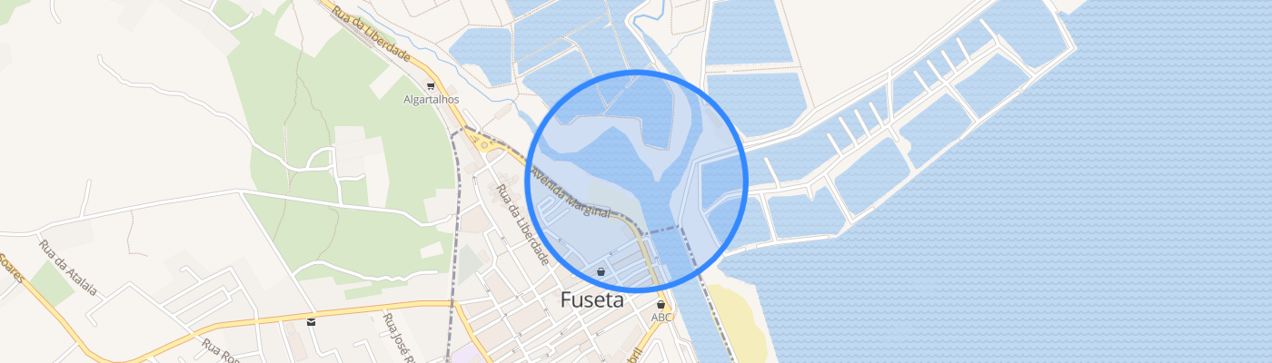 listing-map-picture