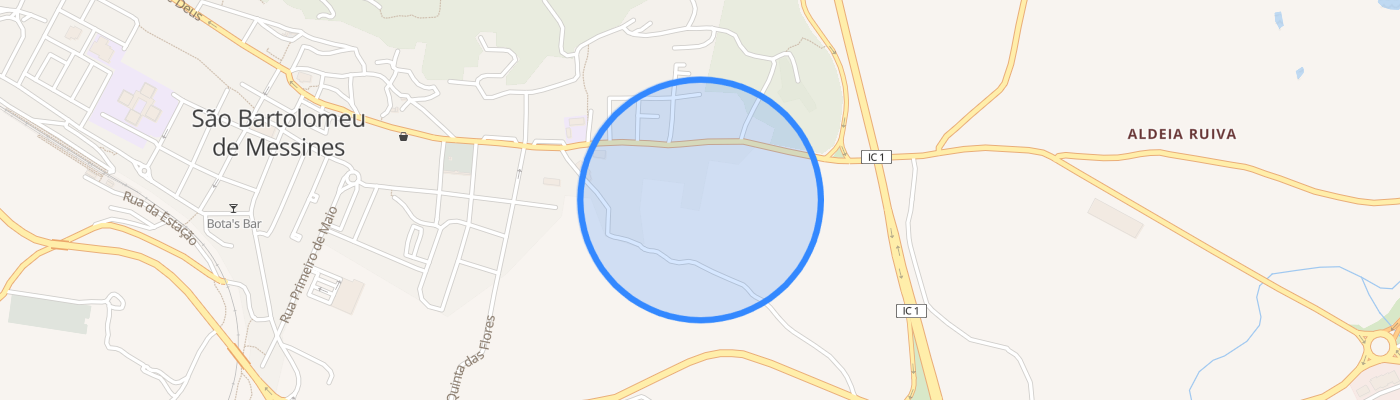 listing-map-picture