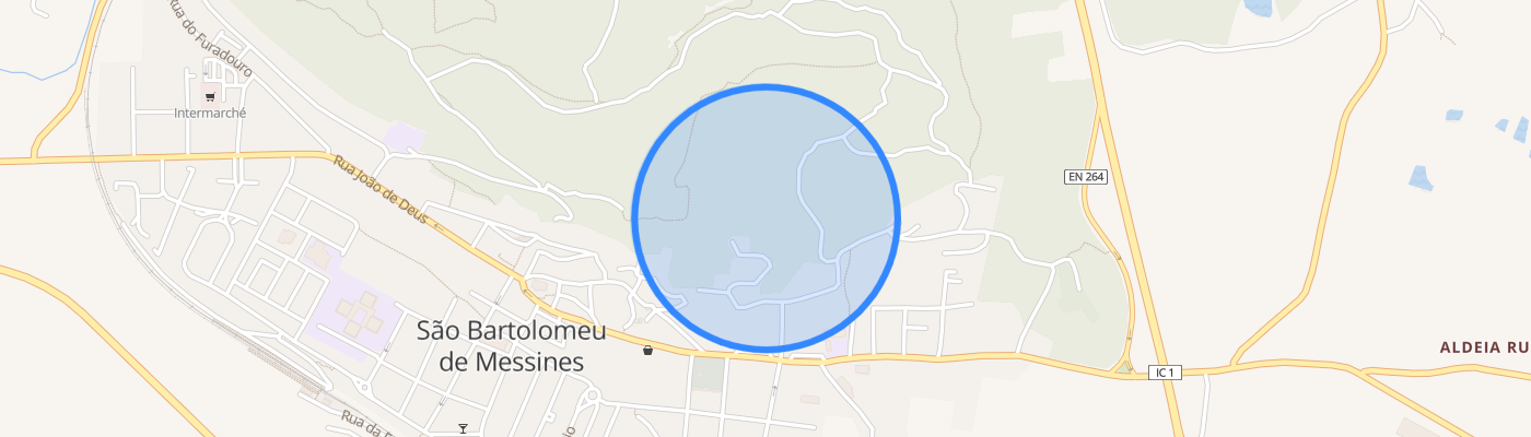 listing-map-picture