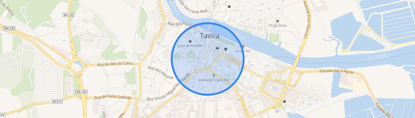 listing-map-picture