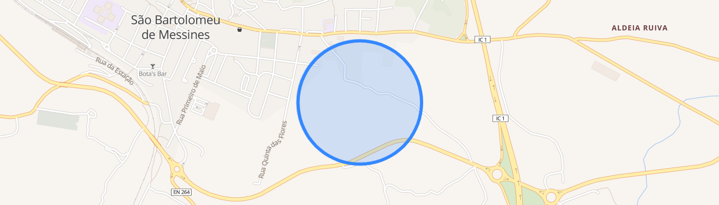 listing-map-picture