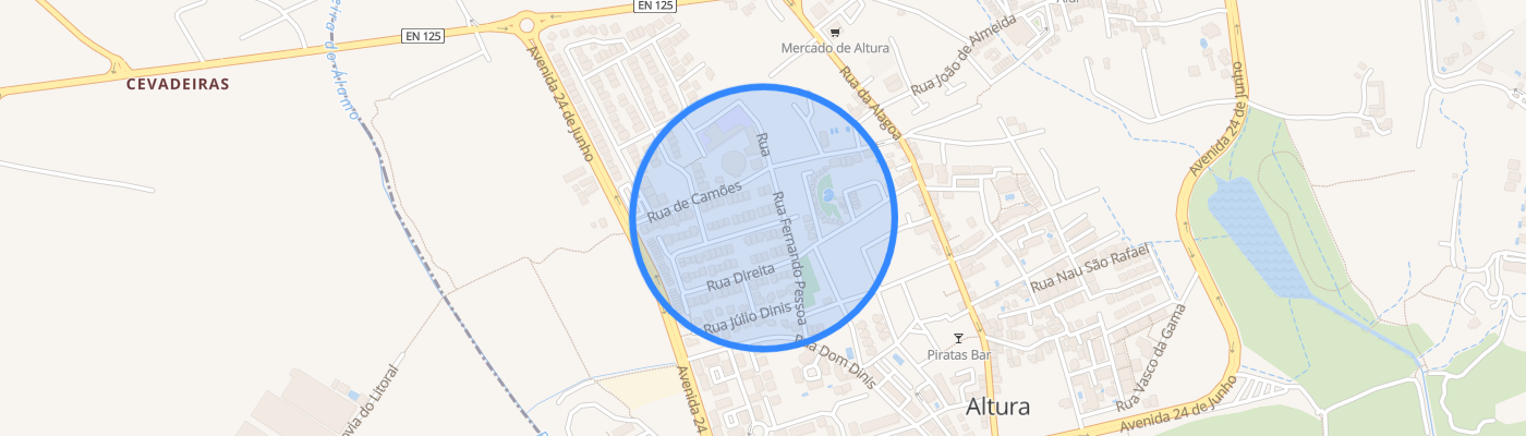 listing-map-picture
