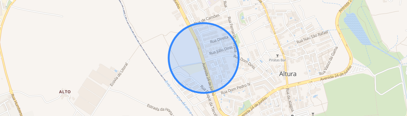 listing-map-picture