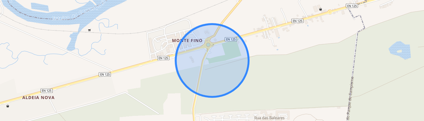 listing-map-picture