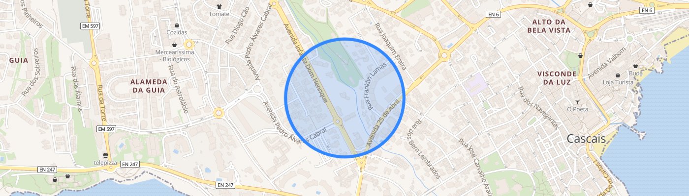 listing-map-picture