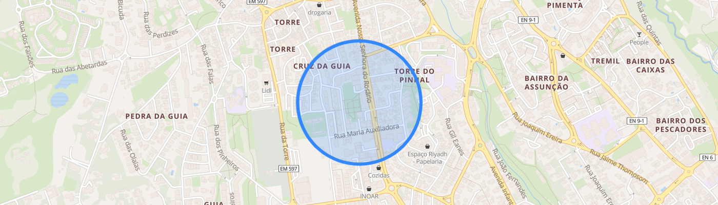 listing-map-picture