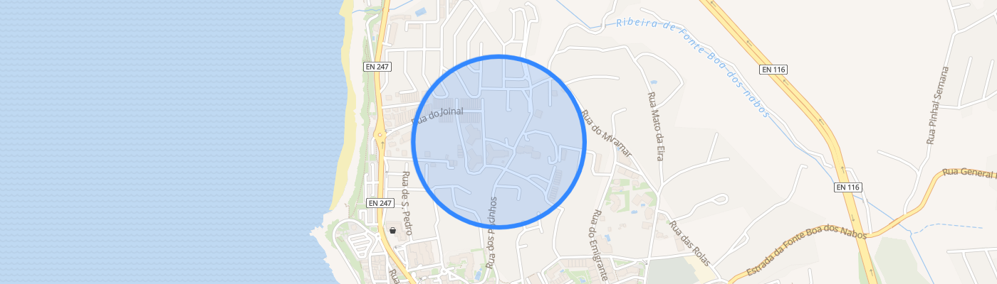 listing-map-picture