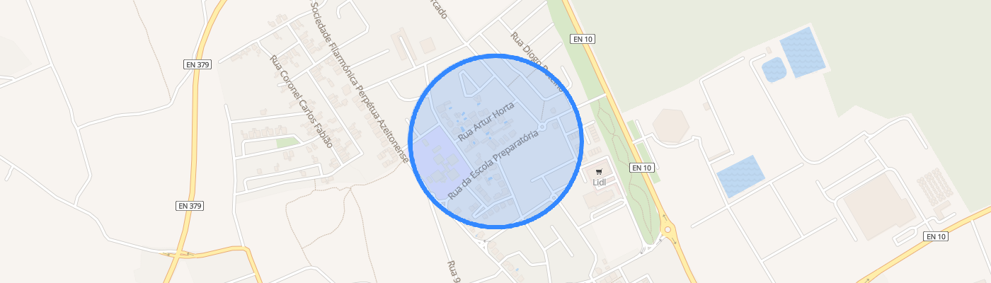 listing-map-picture