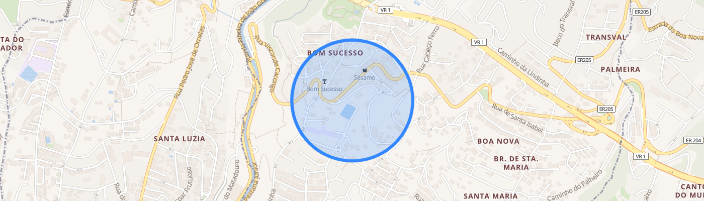 listing-map-picture