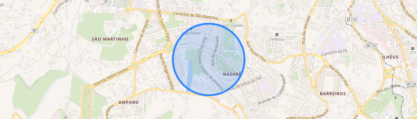 listing-map-picture