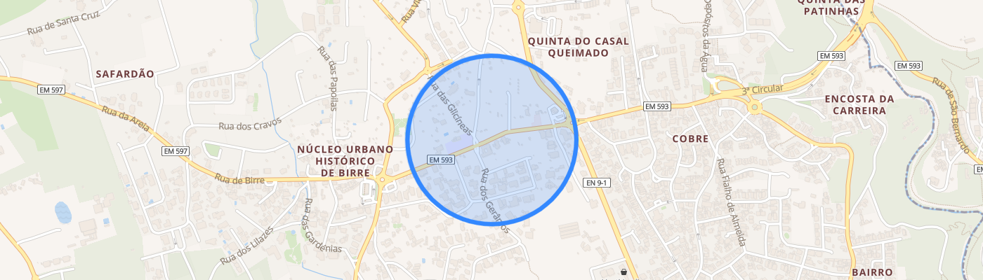 listing-map-picture