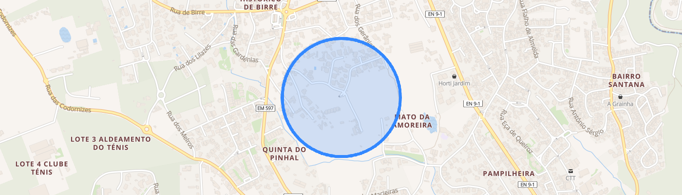 listing-map-picture