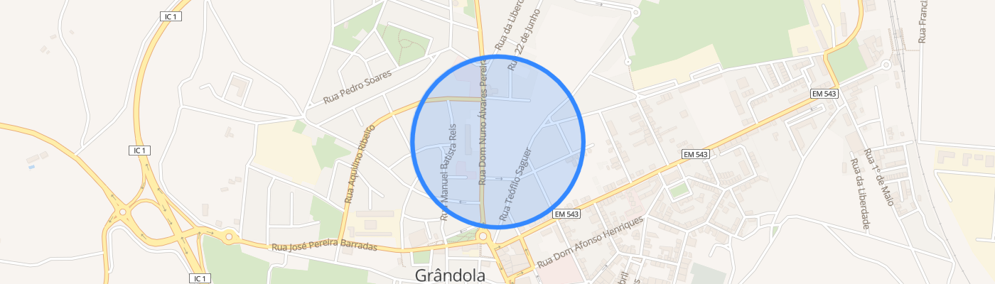 listing-map-picture