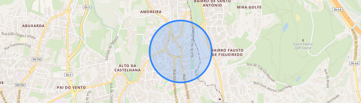 listing-map-picture