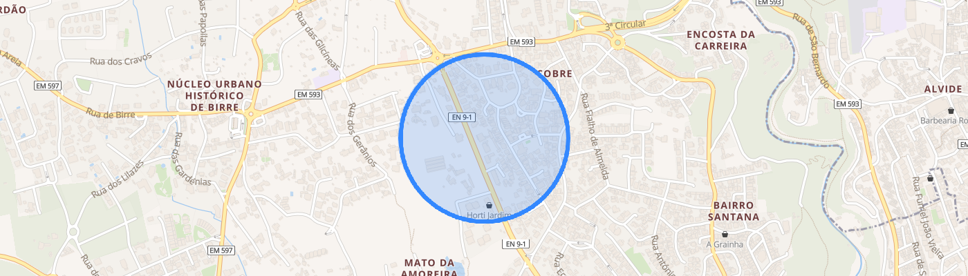 listing-map-picture