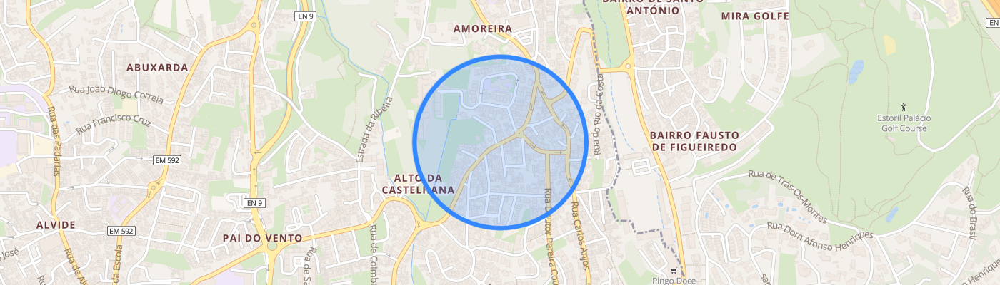 listing-map-picture