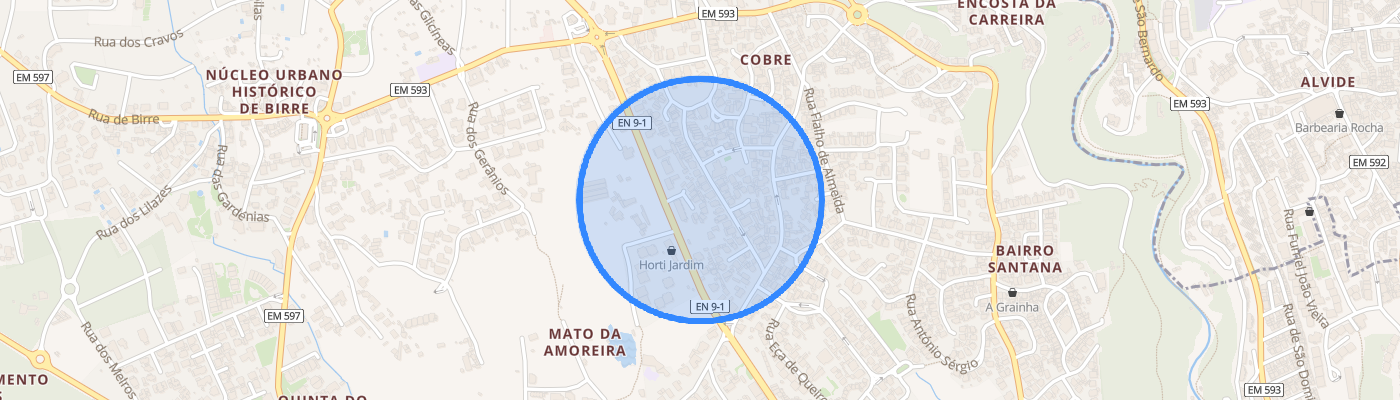 listing-map-picture